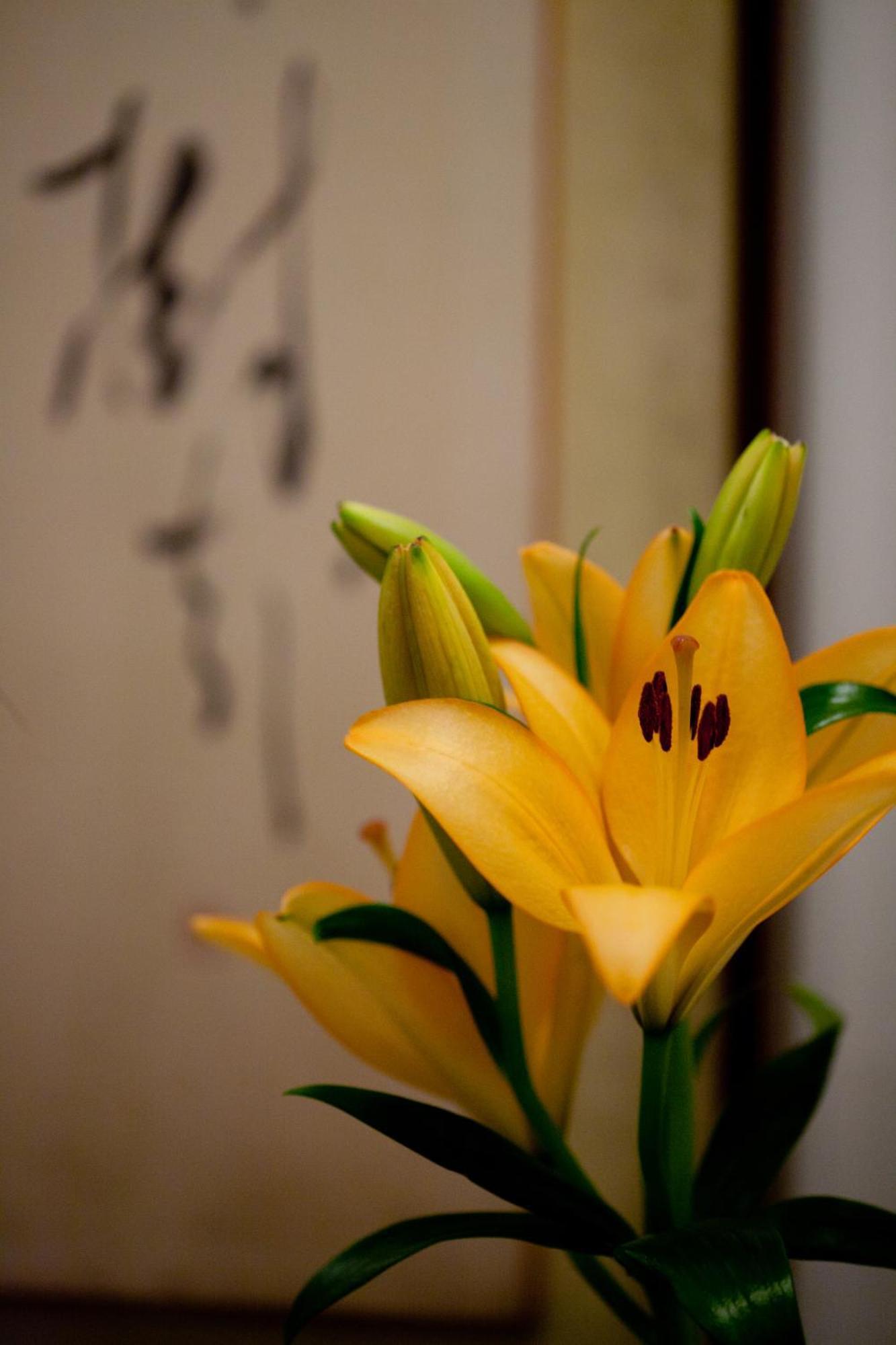 Kimi Ryokan Tóquio Exterior foto